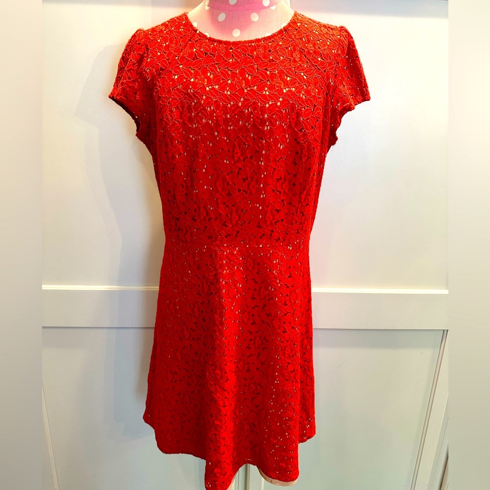 Loft lace dress